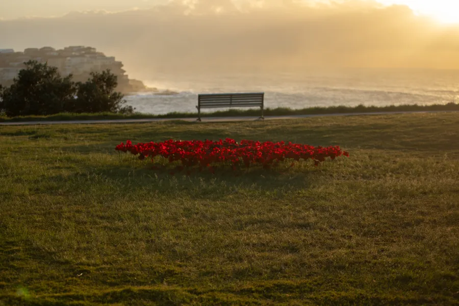 JNF Yom HaZikaron tribute at Marks Park Bondi photography by DarianKrostFilms