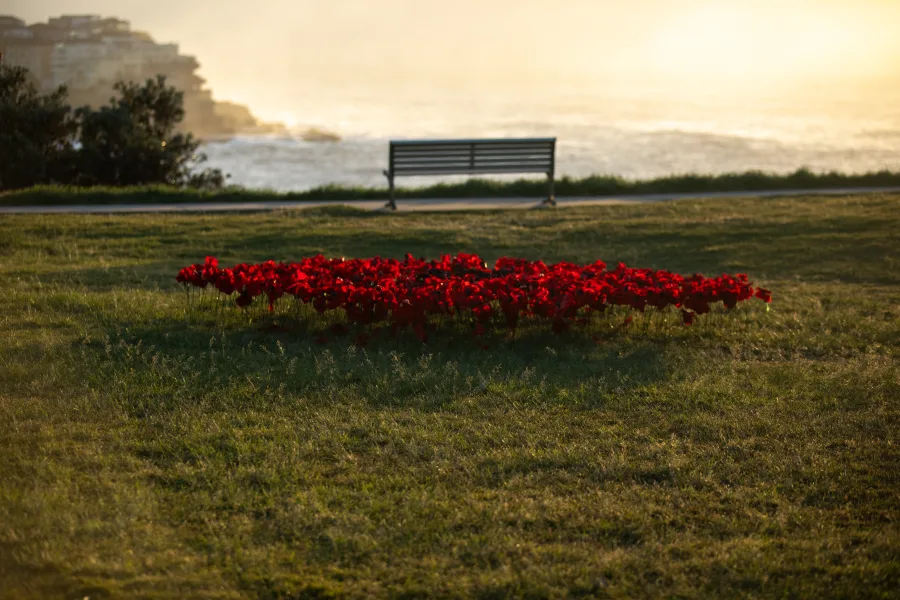 JNF Yom HaZikaron tribute at Marks Park Bondi photography by DarianKrostFilms