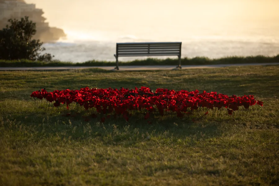 JNF Yom HaZikaron tribute at Marks Park Bondi photography by DarianKrostFilms