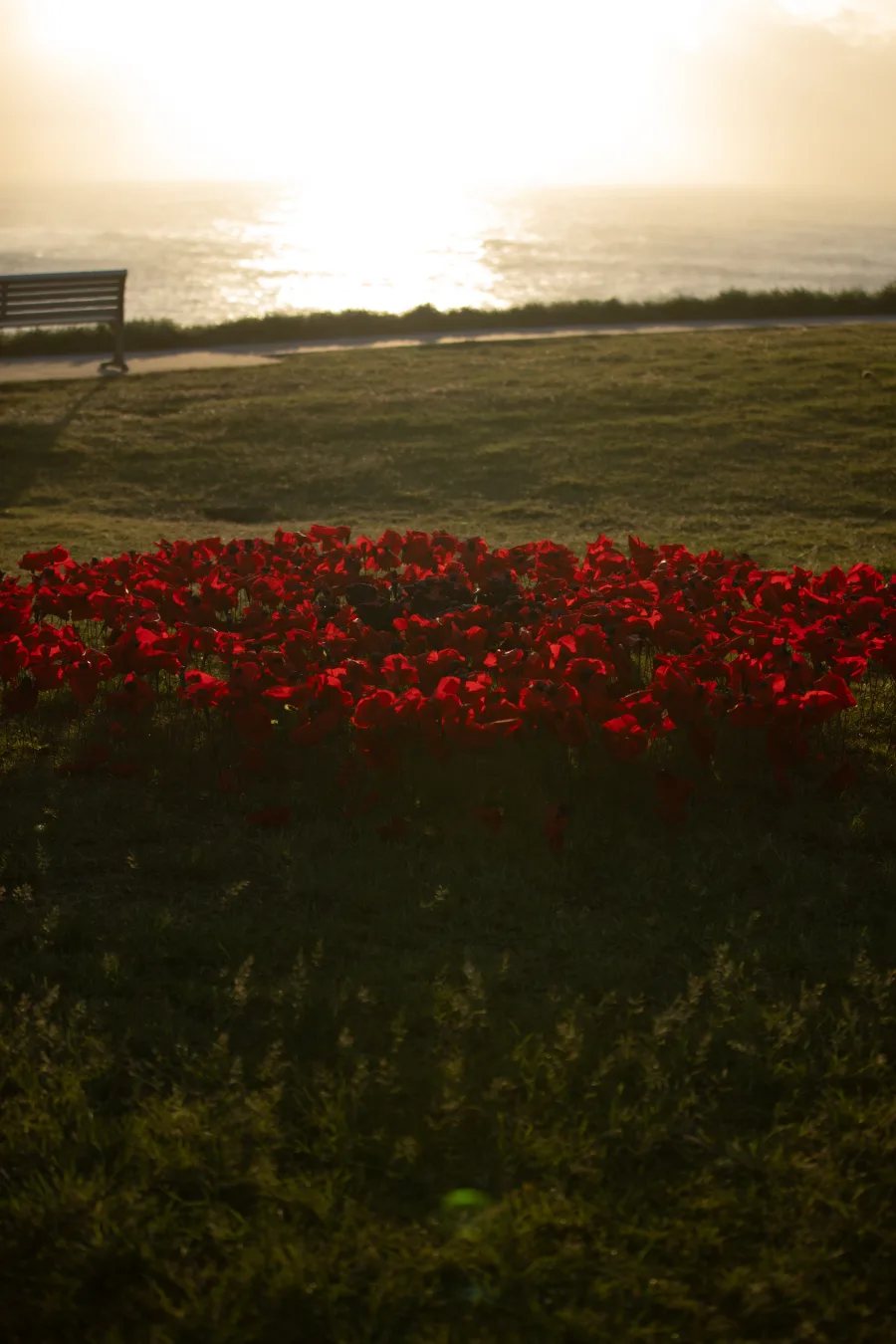 JNF Yom HaZikaron tribute at Marks Park Bondi photography by DarianKrostFilms