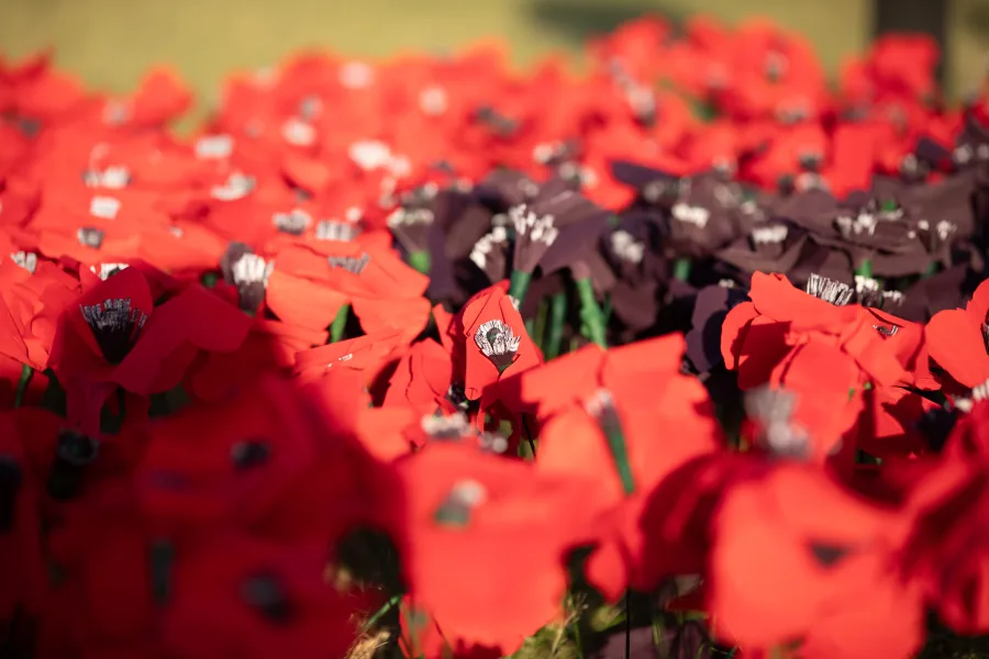 JNF Yom HaZikaron tribute at Marks Park Bondi photography by DarianKrostFilms