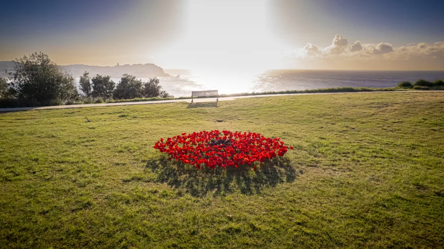 JNF Yom HaZikaron tribute at Marks Park Bondi photography by DarianKrostFilms
